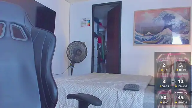 RJBarto webcam