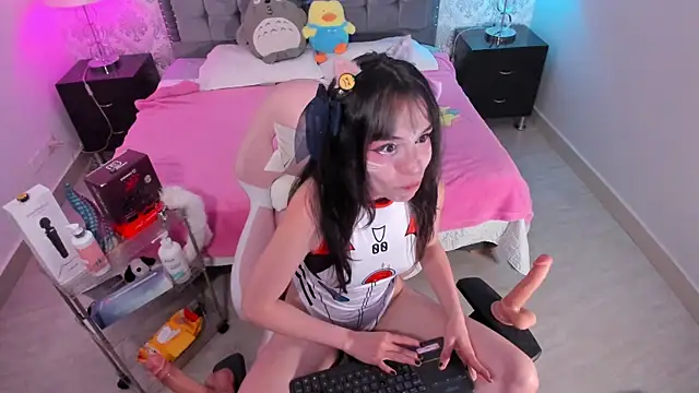 kitticam webcam