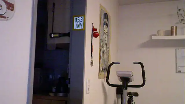 pimmelmann3 webcam