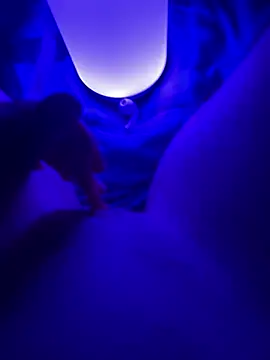 Lynamsb webcam