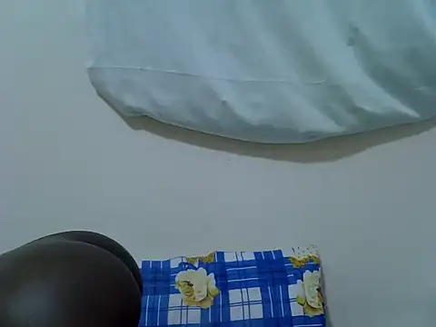 pointie_bloomy webcam