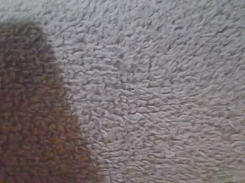 queen-Nova webcam