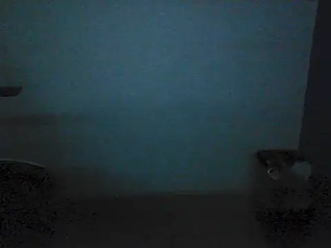 Kalel17073 webcam
