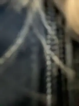 bambi_lu