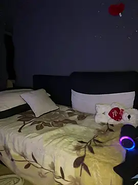 Mohdollmen webcam