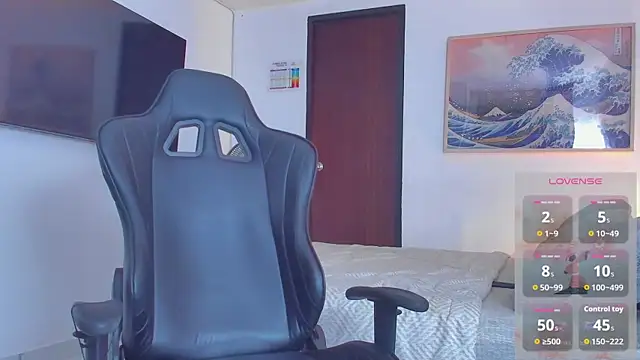 RJBarto webcam
