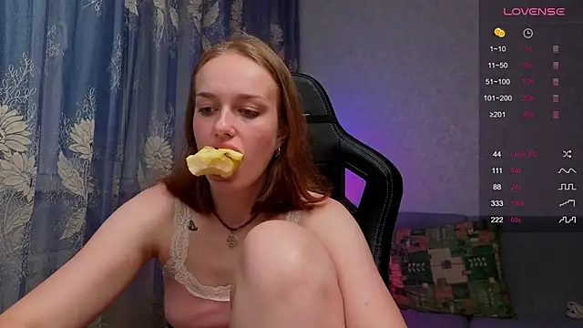evalusion webcam