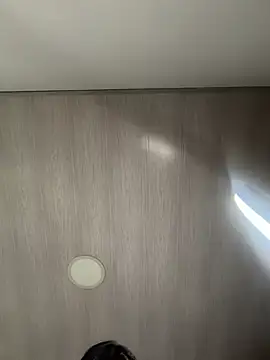 LunaHeat webcam