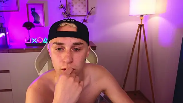 e1v1s webcam