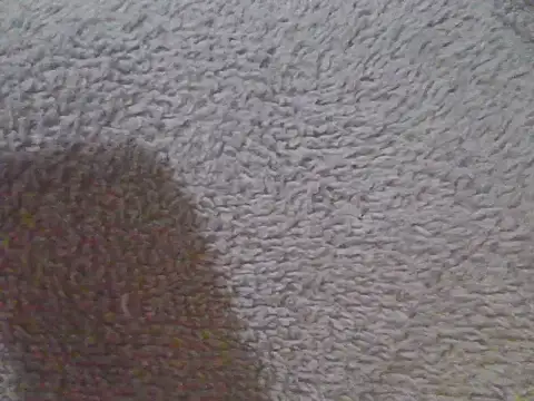 queen-Nova webcam