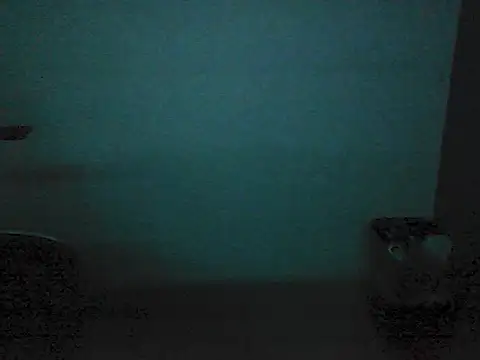 Kalel17073 webcam