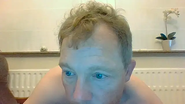 bertolini webcam