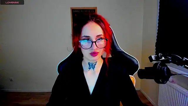 your_tora webcam