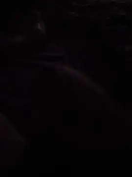 franck367 webcam