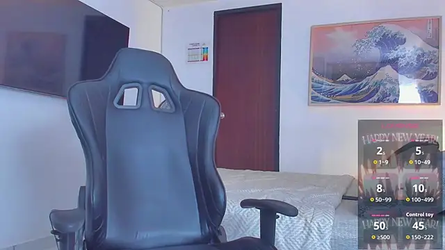 RJBarto webcam