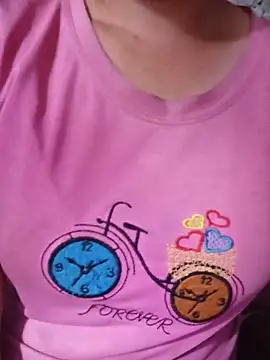 Ppmaivang webcam