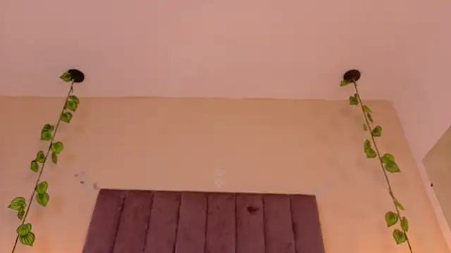Liam__Mercury webcam