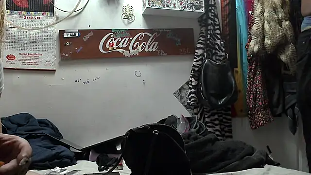 VanillaSnowcones webcam