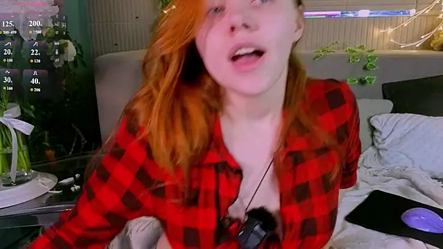 PollyVinice webcam