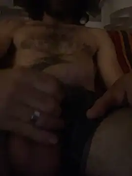 Pitthott11 webcam