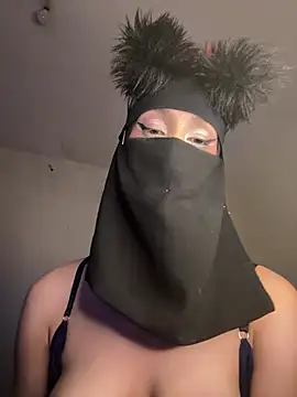 arabayla webcam