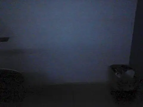 Kalel17073 webcam