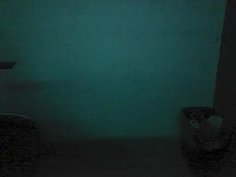Kalel17073 webcam