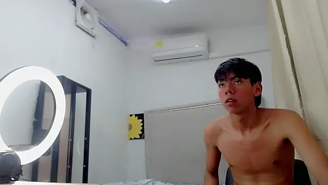 Liarr_ webcam