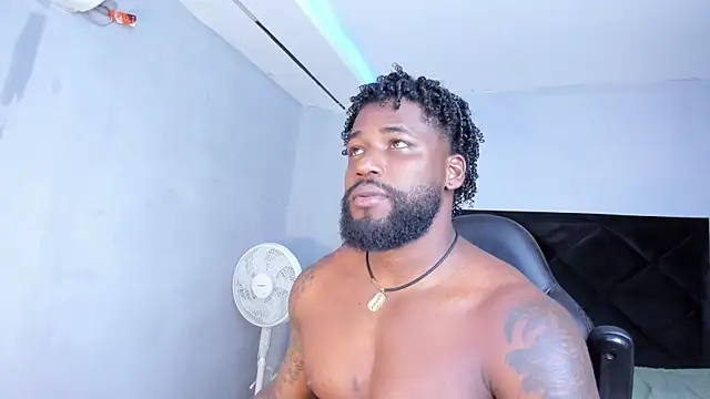 Dancelwashington webcam