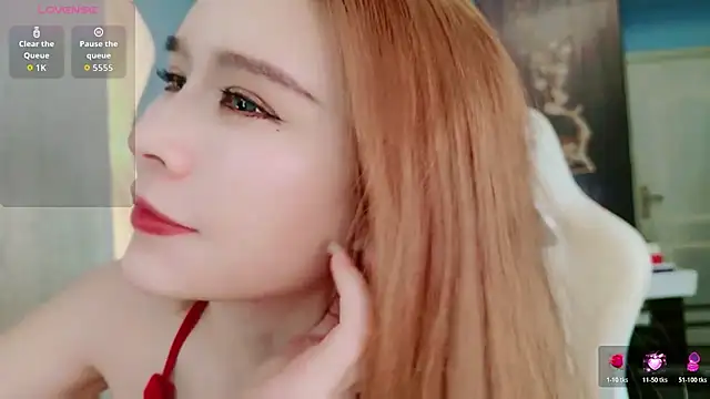 HU131452 webcam