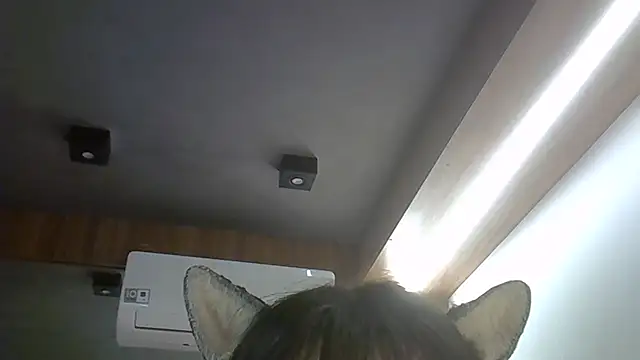SkinnyKitten webcam