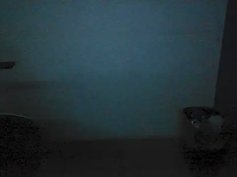 Kalel17073 webcam
