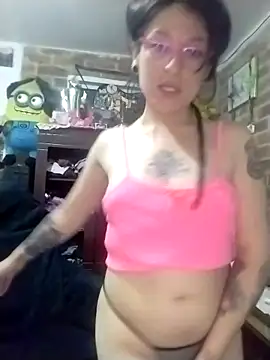 _Alaskamisa webcam