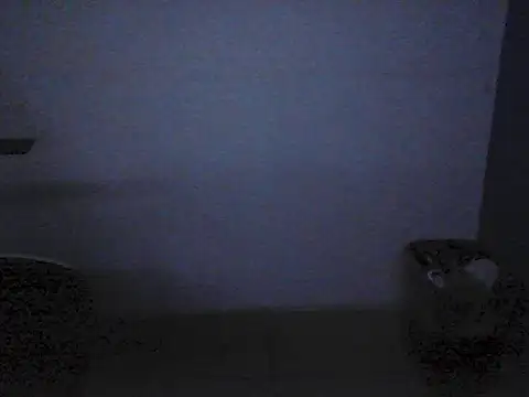 Kalel17073 webcam
