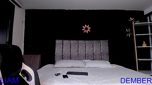 LiamDeep webcam