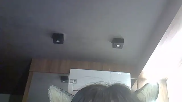 SkinnyKitten webcam