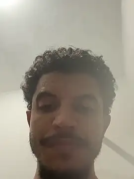 Sanicrt webcam