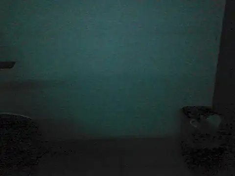 Kalel17073 webcam