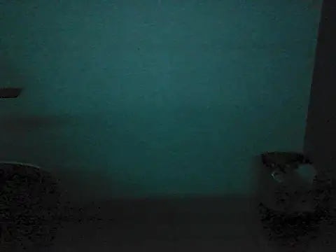 Kalel17073 webcam