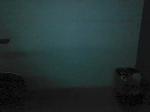 Kalel17073 webcam