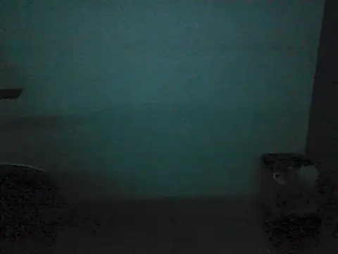 Kalel17073 webcam