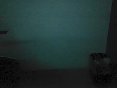 Kalel17073 webcam