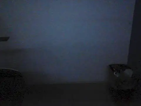 Kalel17073 webcam