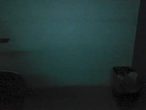 Kalel17073 webcam