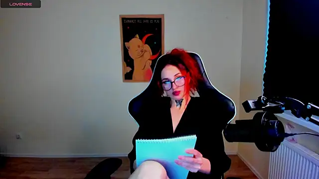 your_tora webcam
