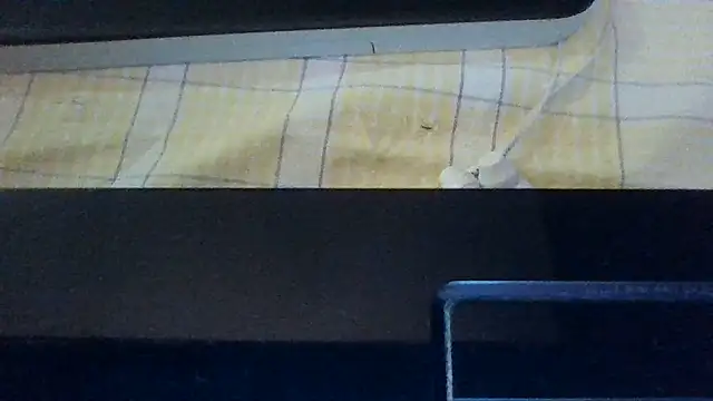 st206boy webcam