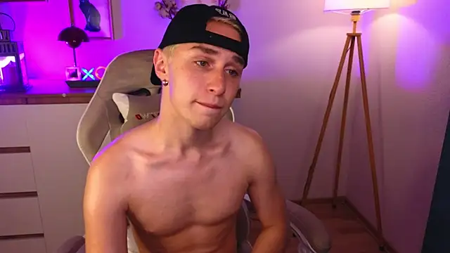 e1v1s webcam