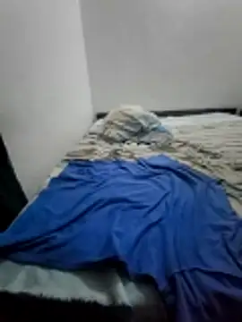 Geespise webcam