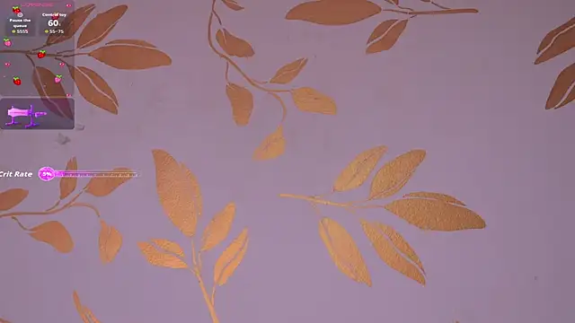 alix_bay webcam