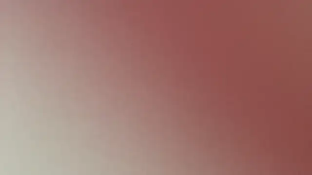 Lovensetest webcam